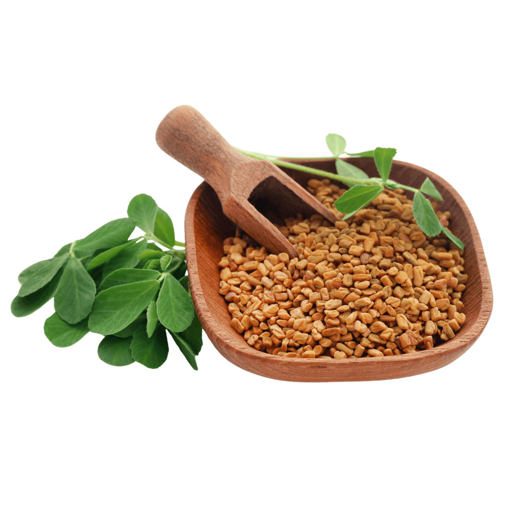 fieno greco controllo glicemia ingrediente metaglyc agolab