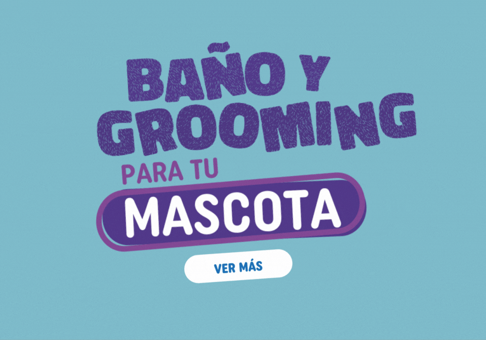 zignature - energía real para su día a día