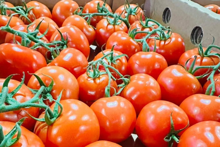 DESI GROCER PTY LTD - Image 6