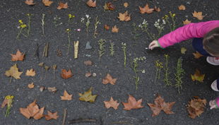 kunsthalle mainz pflanzen holz stöcke kunstvermittlung dsc