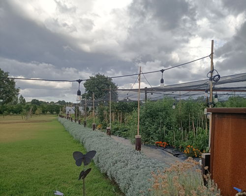 Tour enogastronomici Maranello: Tour presso le aziende locali