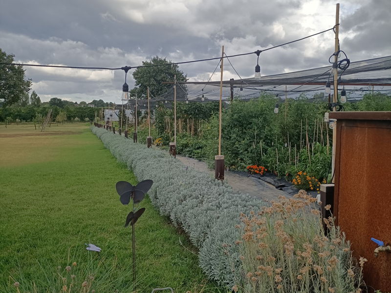 Tours enogastronómicos Maranello: Visitas a empresas locales