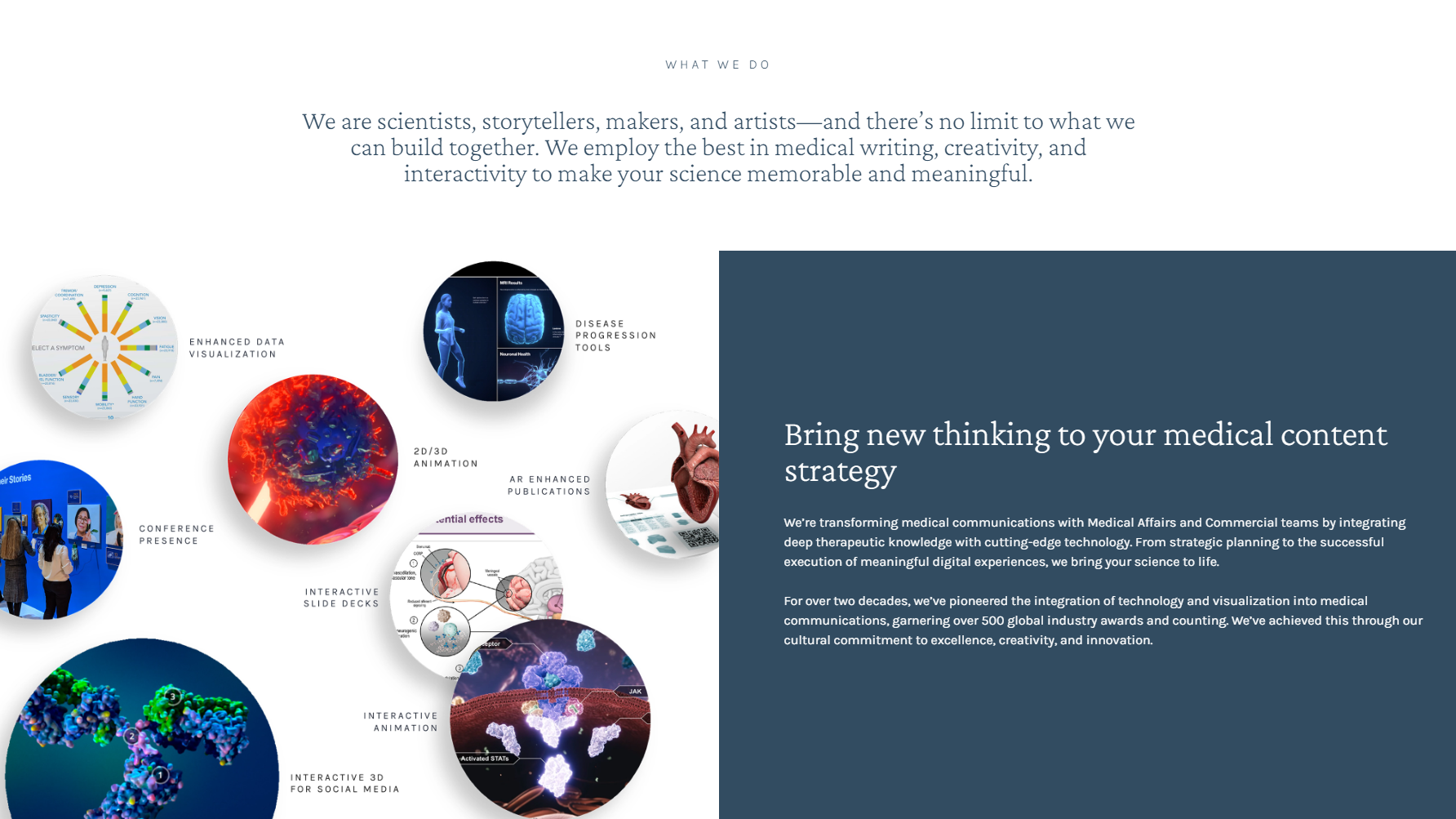 Red Nucleus product / service