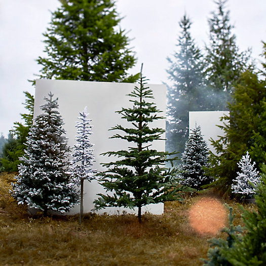 Terrain Faux Snowy PreLit Norway Spruce Tree vs Terrain Faux Noble Fir