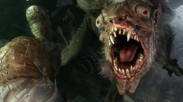 Main Content Image