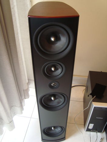 Psb Synchrony One Tower True audiophile sound,lowest pr...