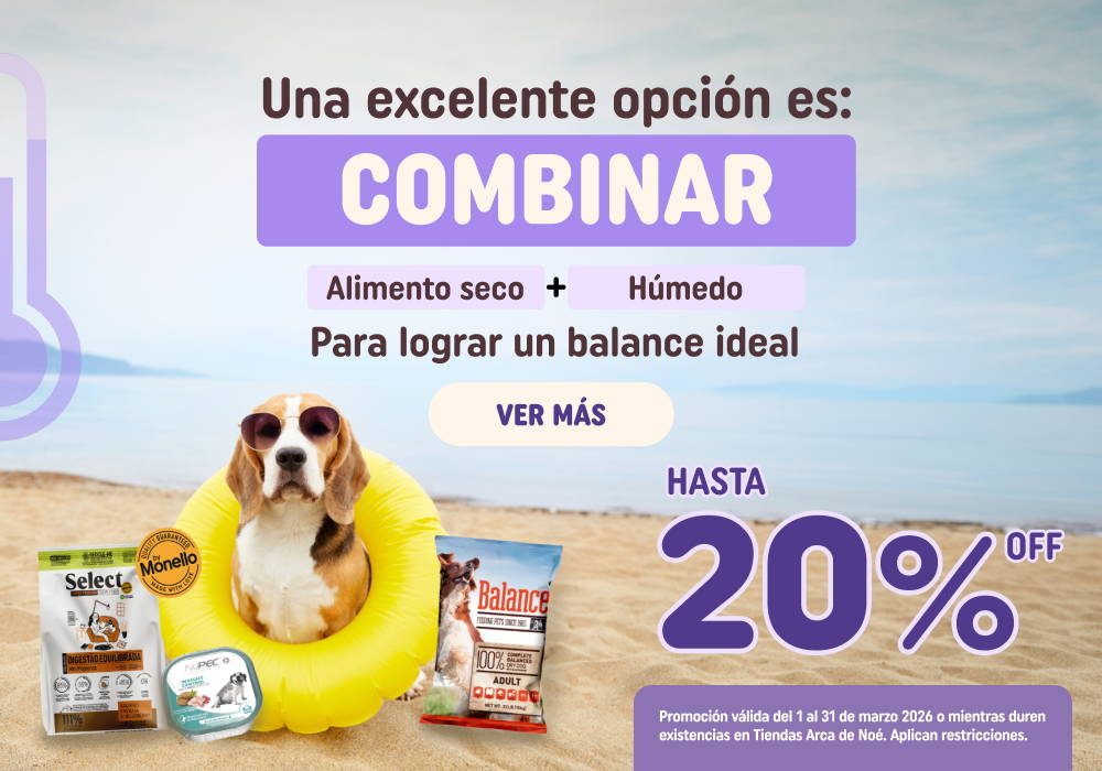 zignature - energía real para su día a día