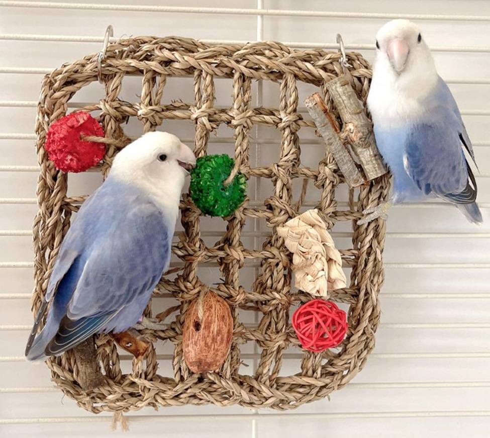 rope bird toys