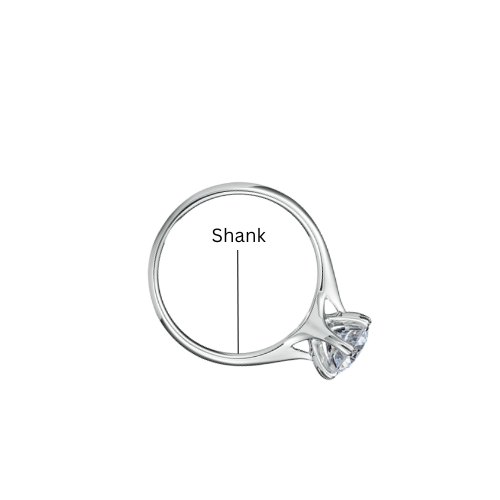 shank img
