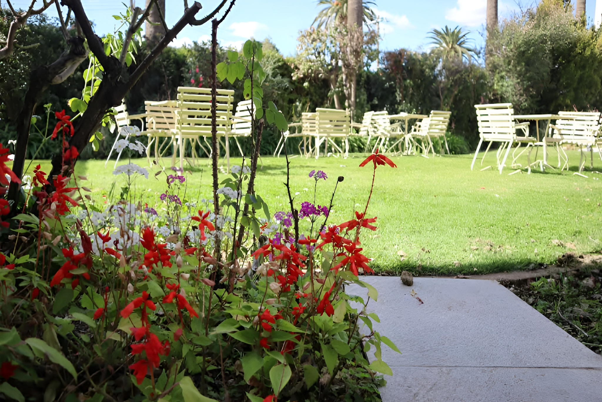 Mildura Grand Hotel Voucher - Image 12