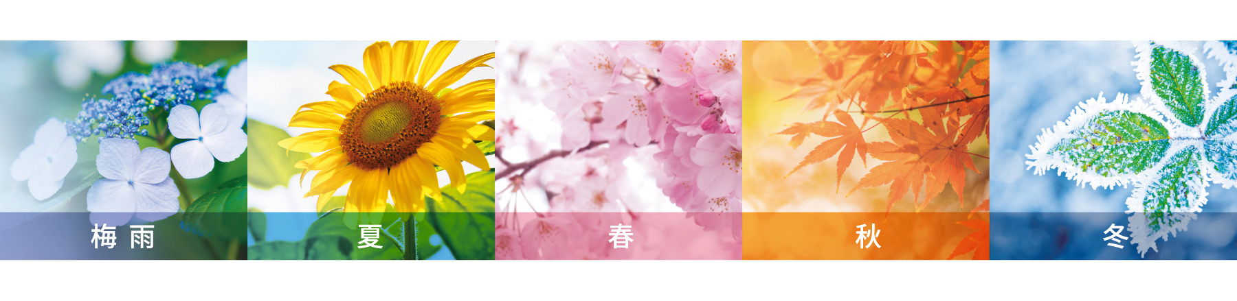 春夏秋冬