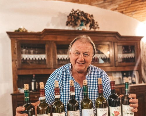 Tour enogastronomici Dogliani: In Langa: degustazione di 7 vini e visita alla cantina