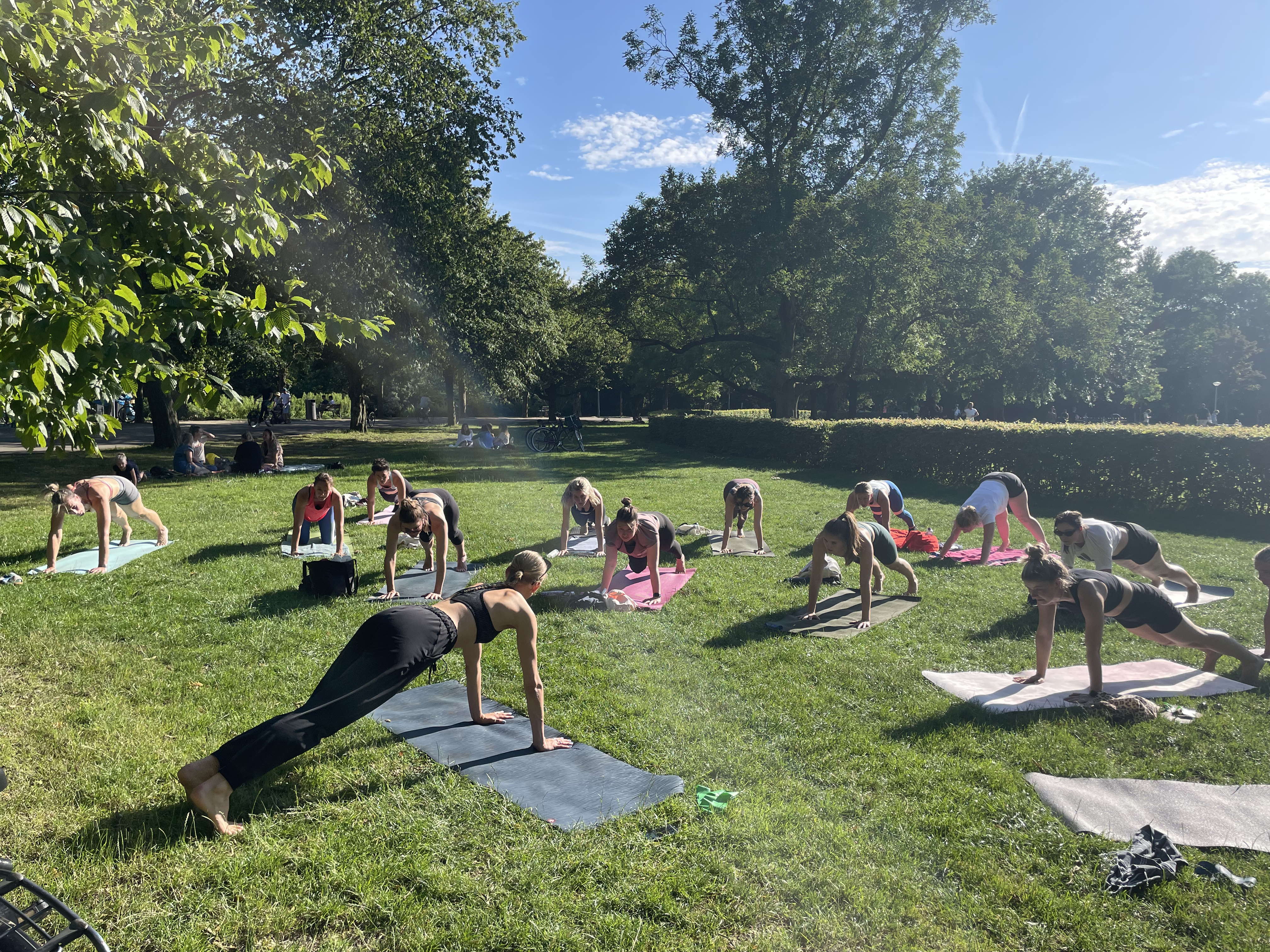 Sculpt Vondelpark