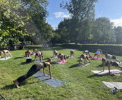 Sculpt Vondelpark