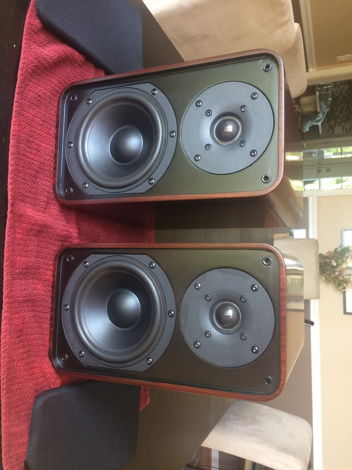 Peachtree Audio DS5.5 Rosewood Speakers, Immaculate Con...
