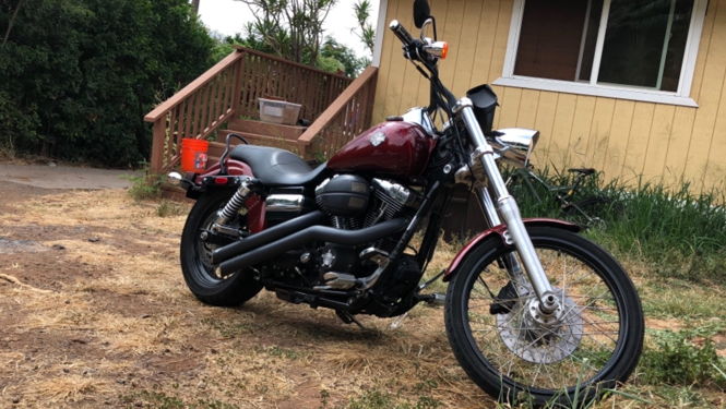 harley davidson beach cruiser