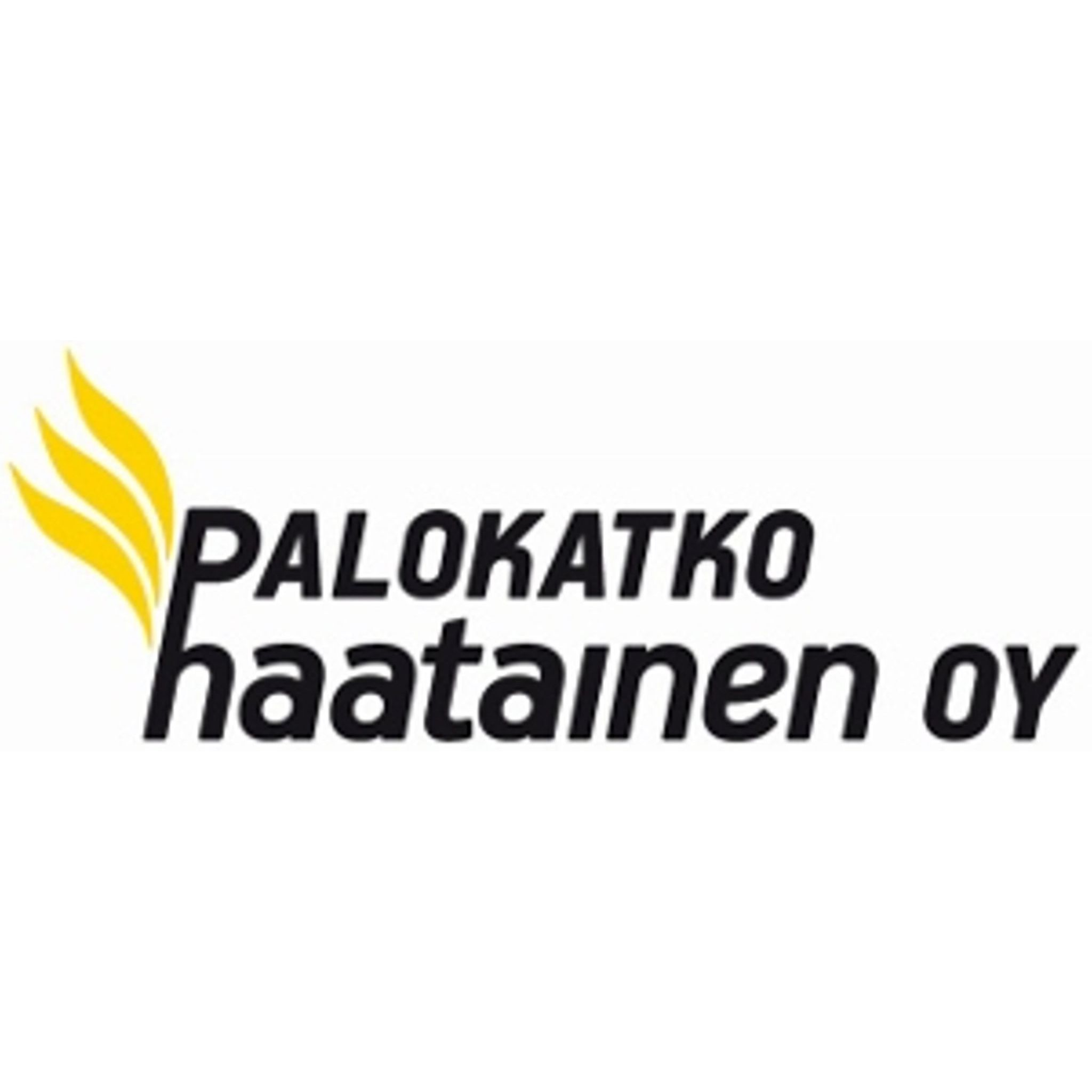 Ari Haatainen