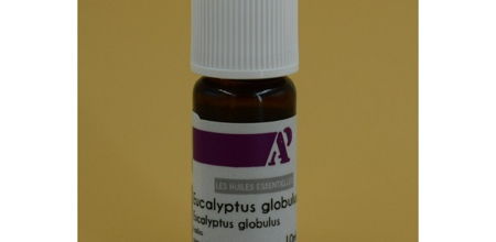 Huile essentielle d'eucalyptus globuleux bio