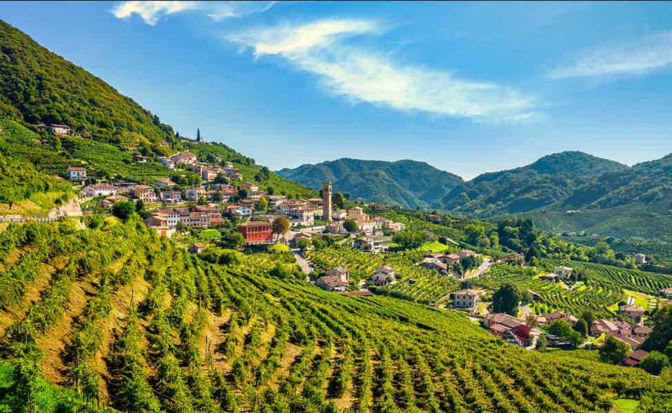 Amarone Wine Tour & Tasting from Venice - photo 2