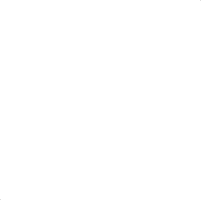raw and bio active bee above it local raw honey icon