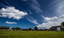 Blackhall Cricket Club logo