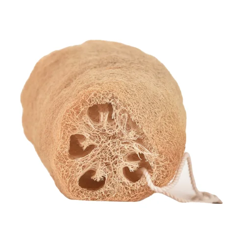 Loofah brut