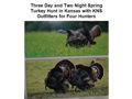 Three Day and Two Night Spring Turkey Hunt in Kansas with KNS Outfitters for Four Hunters