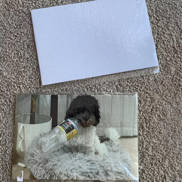 Pete's Pet Products - Personalised Pet - Jigsaw Puzzle - Image 3