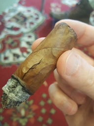 Cigar Session Photo