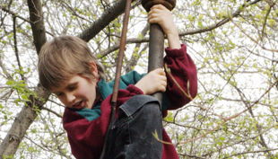 dresdner stadtindianer