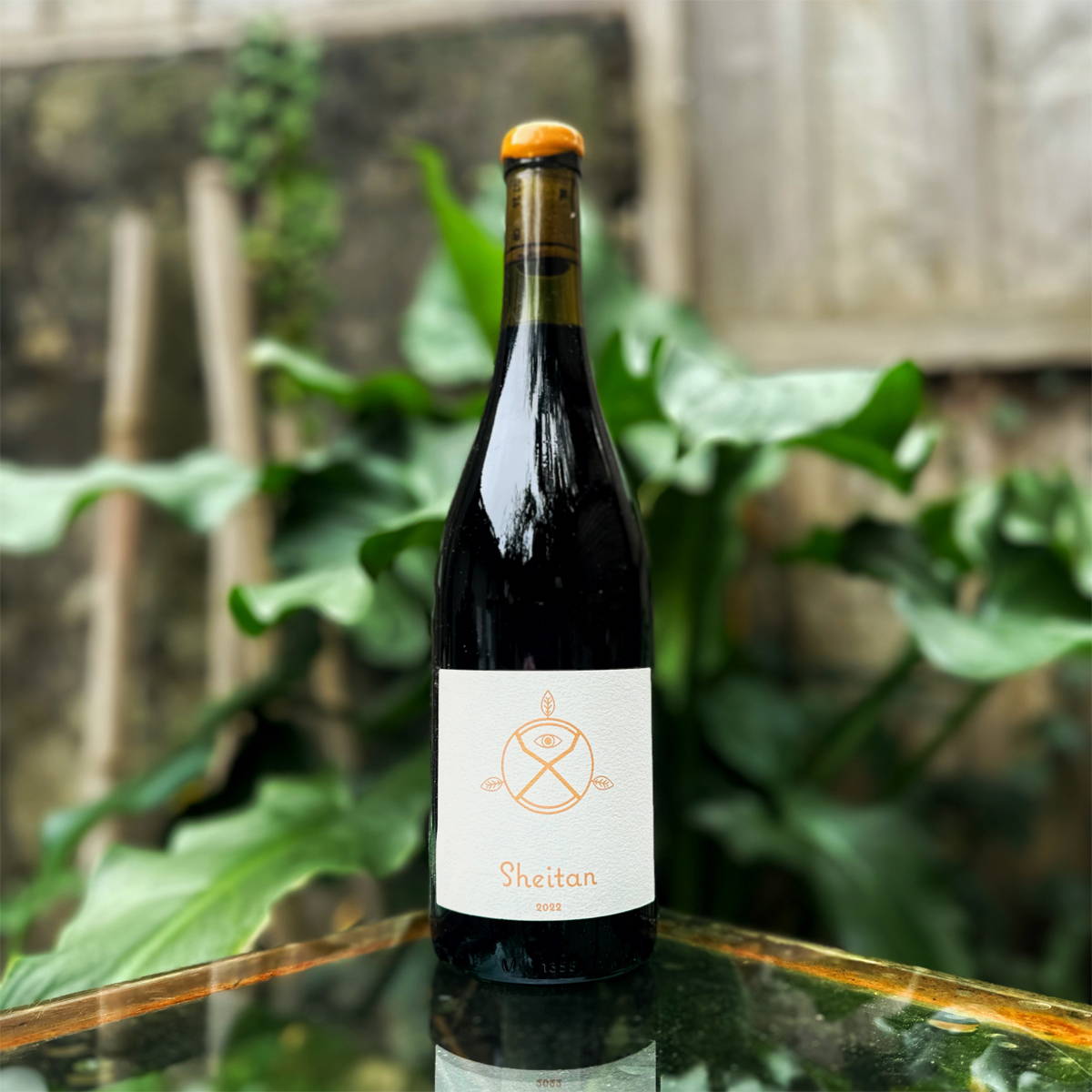vinFrance, vin nature, rawwine, organic wine, vin bio, vin sans intrants, vin sans souffre, vin sans sulfites ajoutés, vin rouge, vin blanc, rouge, blanc, vin propre, vigneron, domaine bio, biodynamie, vigneron nature, vin biodynamique, raizin brut, Quimper, Finistère, Morbihan, sud, sud-ouest, vin du sud 
