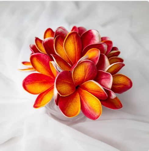 Tropical Frangipani Flowerhead (6 Pack) - Realistic Artificial Flowers - Image 5