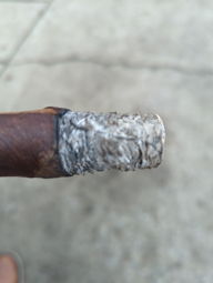 Cigar Session Photo