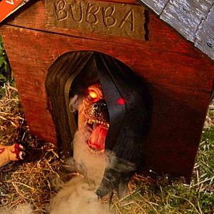 Paige's Halloween Decorations