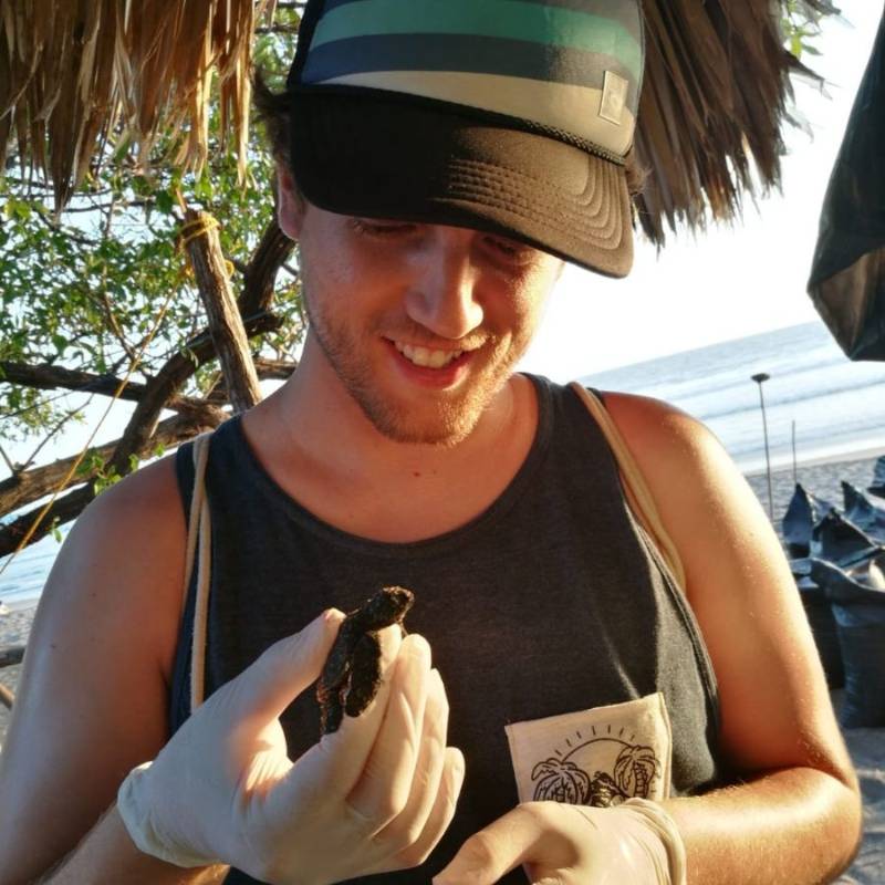 Ocean Spririt Mike mit Babyschildkröte