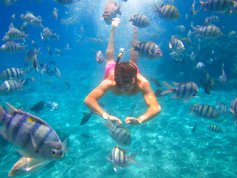 From Dubai: Snorkeling Trip to Fujairan