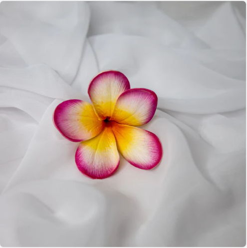Sunset Pink Frangipani Flowerhead (6 Pack) - Realistic Artificial Flowers - Image 2