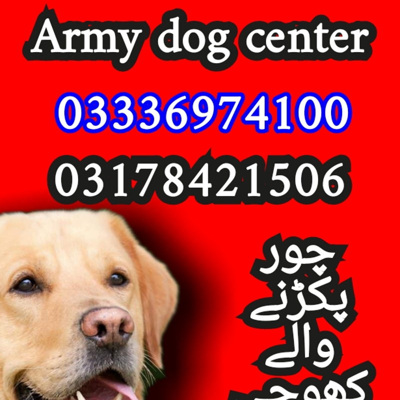 https://ucarecdn.com/446b8858-7c13-4909-aef4-a347f4785a3b/-/crop/615x614/0,20/-/preview/ cover