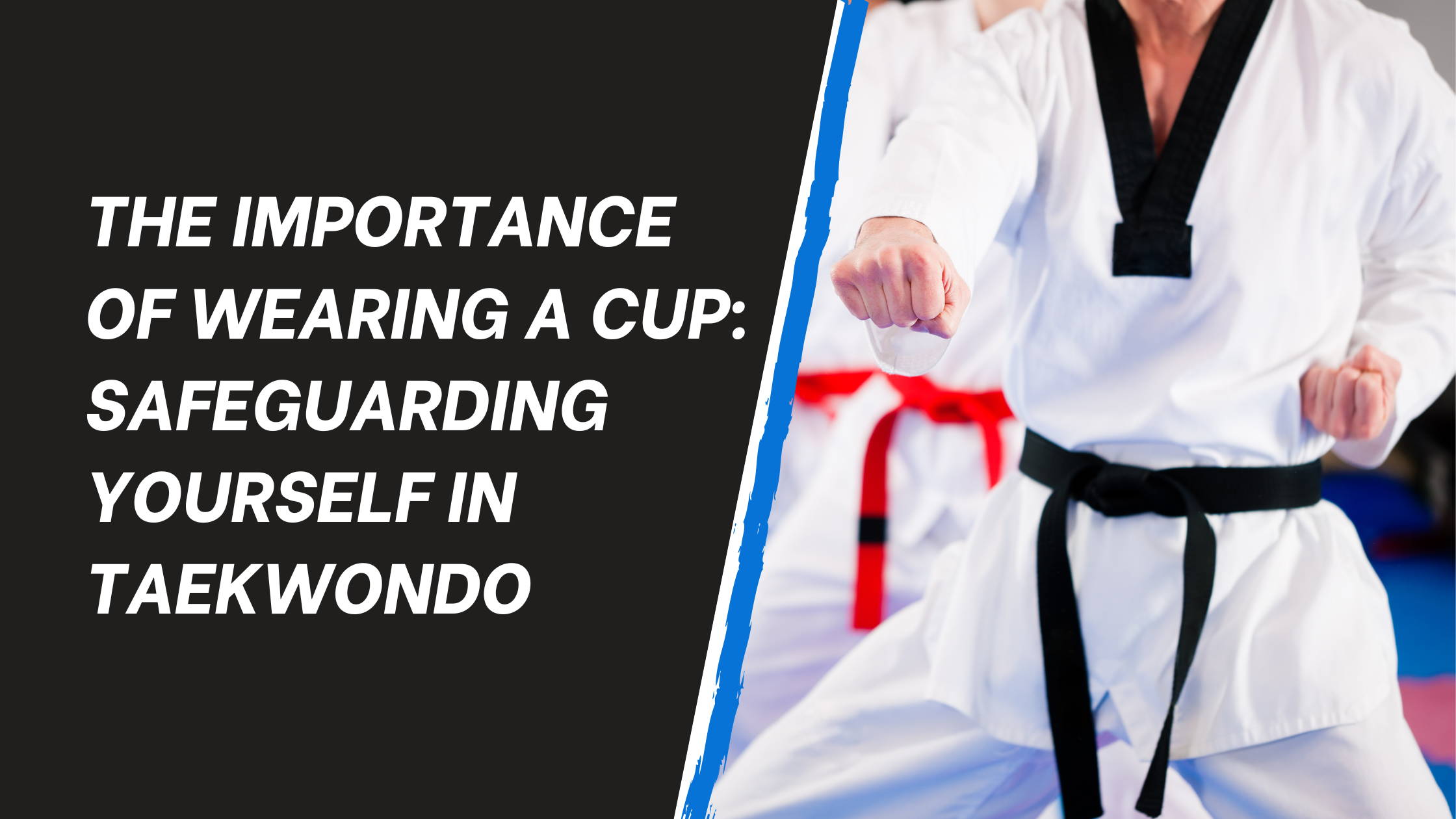 Taekwondo Groin Protection