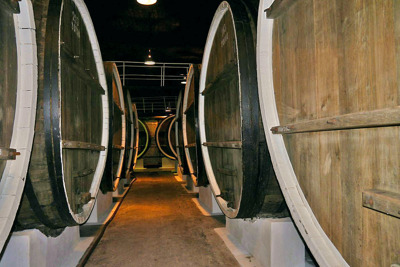 Ода виноградной лозе: Массандра и музей виноделия. 