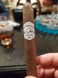 Cigar Session Photo