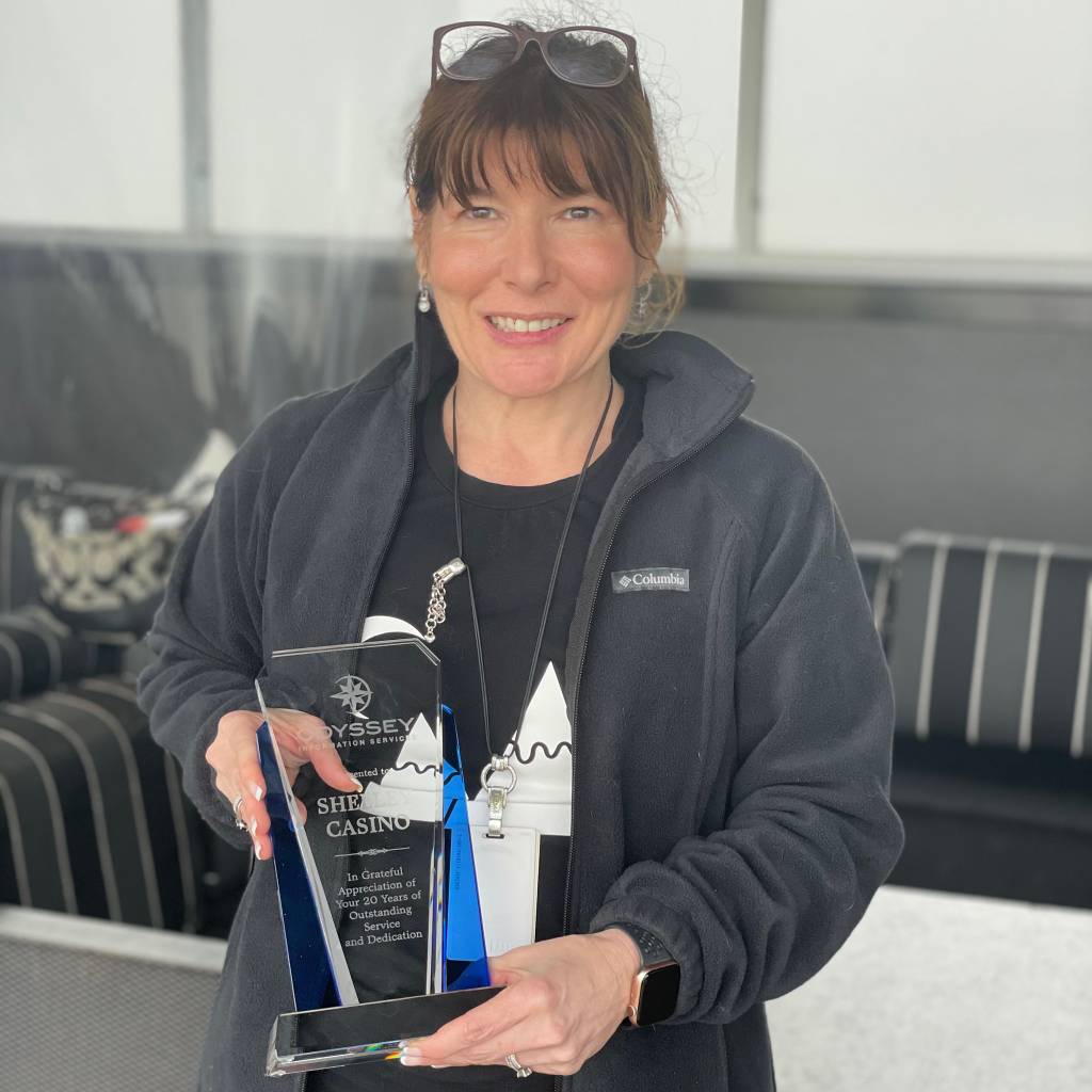 About Odyssey Information Services