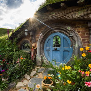 Honeymoon Excursion: Hobbiton (for Josh)