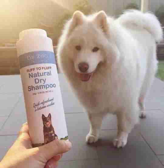 Dr Zoo Ruff To Fluff Dry Shampoo 250G - Image 3