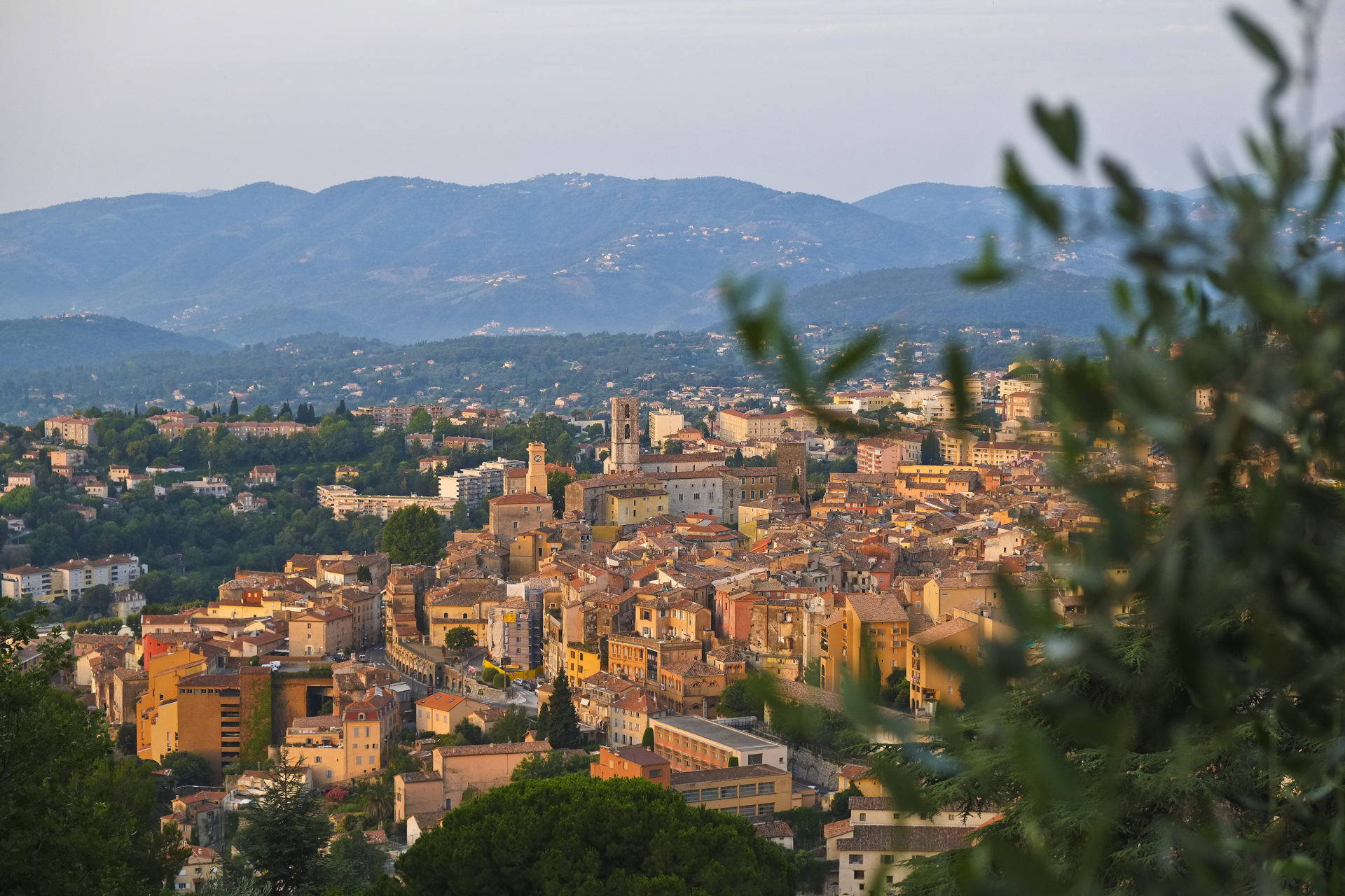 Grasse