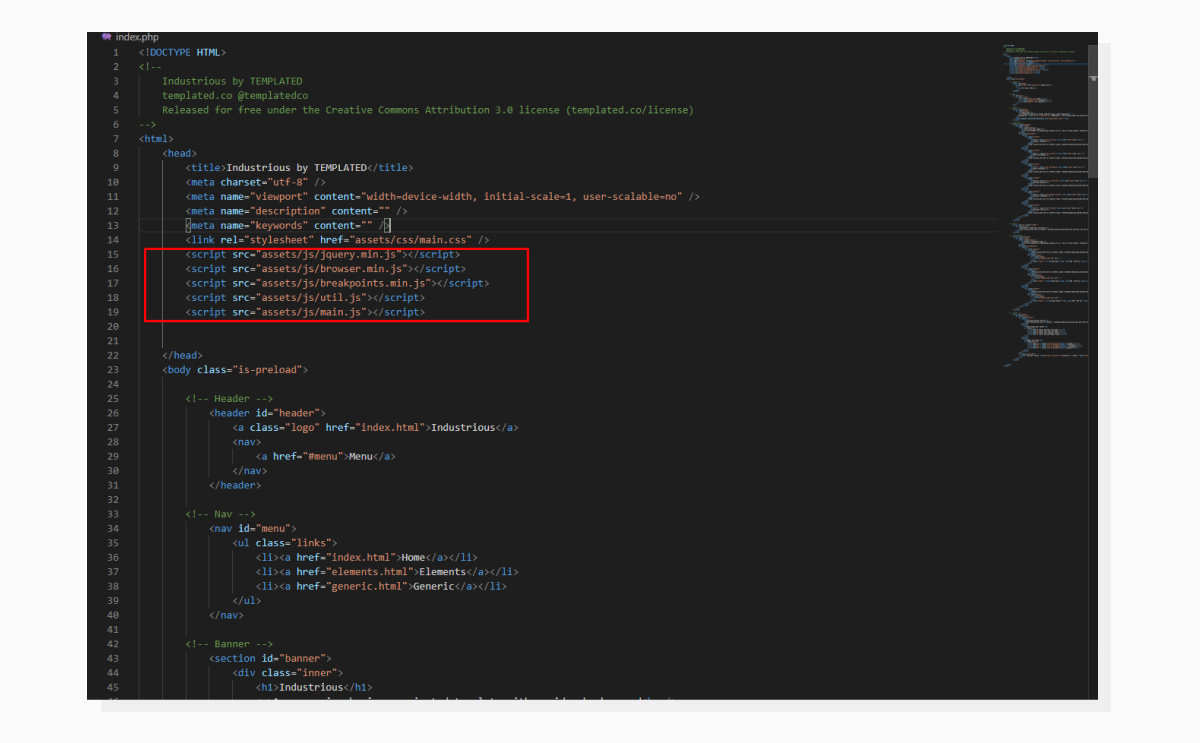 a screenshot highlighting the place in the source code where scripts and styles are injected