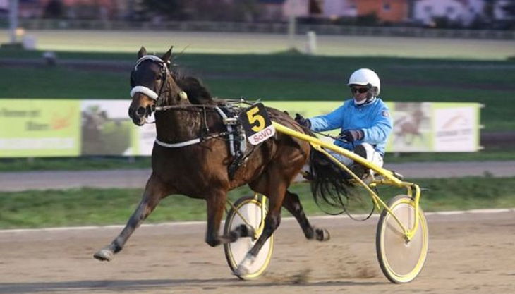 pferdesportpark berlin karlshorst pferde rennsport