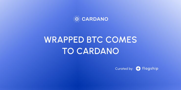 cBTC wrapped btc cardano