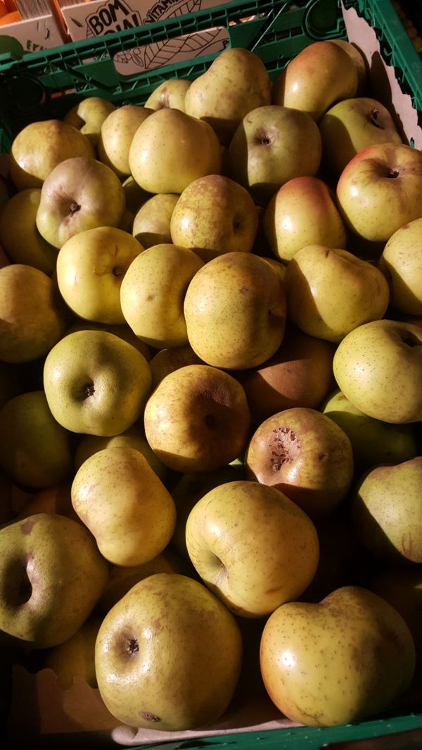pomme-reinette