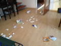 Aggressiver Hund